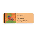 Search for songbird return address labels Orange