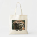 Search for camels bags Humour