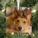 Search for corgi christmas decor Queen elizabeth's