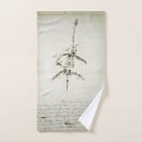 Search for plesiosaurus Prehistoric