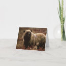 Search for grizzly bear cards Animals