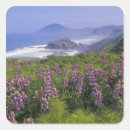 Search for pacific northwest coast stickers Oregon