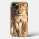 Search for serengeti cases Africa