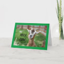 Search for suring cards Friend