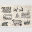 Search for farm animal tissue paper Ephemera