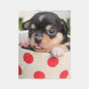 Search for chihuahua blankets Dog
