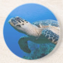 Search for underwater coasters Coral reef