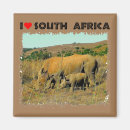 Search for rhino magnets Wildlife