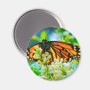 Search for monarch butterfly magnets Nature