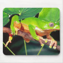 Search for bicolor electronics Green