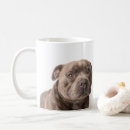 Search for terrier coffee mugs Staffordshire bull terrier
