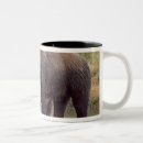 Search for arctos mugs Carnivore