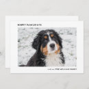Search for bernese mountain dog christmas cards Happy pawlidays
