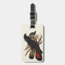 Search for natural history accessories Scientific illustration