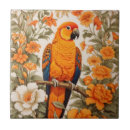 Search for sun conure Vintage