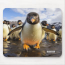 Search for cool birds mousepads Nature