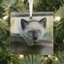 Search for siamese cat christmas tree decorations Cute