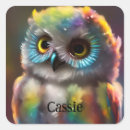 Search for colourful owl stickers Nature