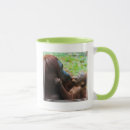 Search for orangutan mugs Wild animals