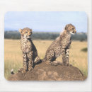 Search for cheetah mousepads Animal