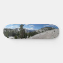 Search for points skateboards Landscape
