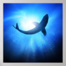 Search for air bubble posters Aqua
