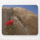 Search for achievment mousepads Achievement