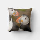 Search for puffin cushions Black
