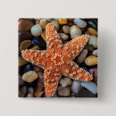 Search for animal beach badges Usa