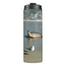Search for seagull travel mugs Nature