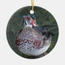 Search for duck christmas tree decorations Birds