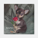 Search for adorable square magnets Red