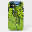 Search for caterpillar iphone cases Insects