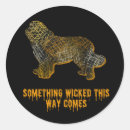 Search for newfie stickers Newfoundland