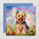 Search for yorkie pet memorials Sympathy
