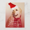 Search for labrador retriever christmas cards Canine