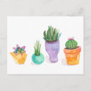Search for desert flowers postcards Green