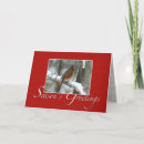 Search for robin redbreast christmas cards Snow