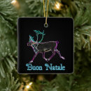 Search for northern lights christmas tree decorations Wildlife