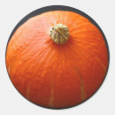 Search for squash stickers Orange
