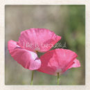 Search for poppy coasters Poppies