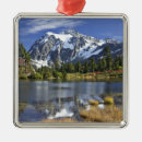 Search for in the wilderness christmas tree decorations Peaceful