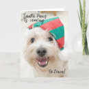 Search for funny reindeer christmas cards Elf