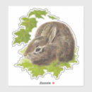 Search for little rabbit stickers Garden