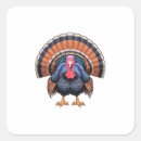 Search for wild turkey stickers Bird
