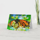 Search for monarch butterfly cards Orange and black