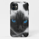 Search for siamese iphone cases Kitty
