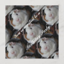 Search for guinea pig invitations Cute