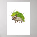 Search for hedgehogs posters Watercolor hedgehog