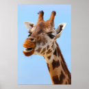 Search for giraffe art Photography